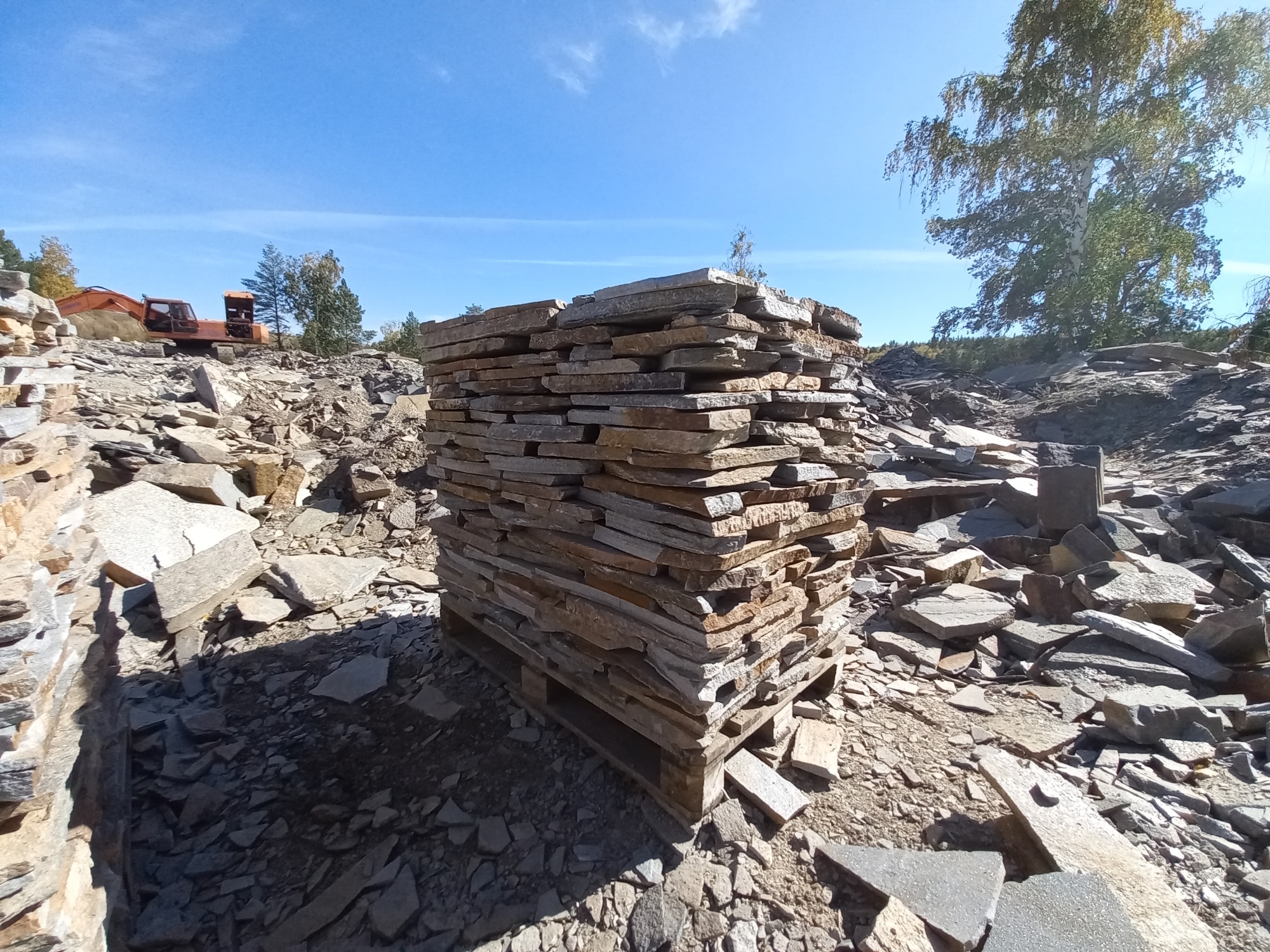 Плитняк златолит серебристый для мощения на бетон купить в Каслях